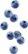 Blueberries