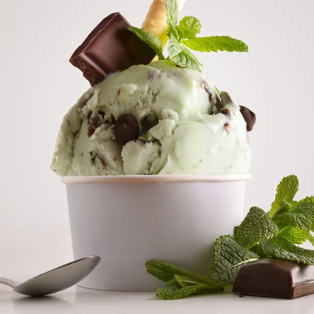 Mint Chocolate Chip ice cream