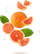 Grapefruit